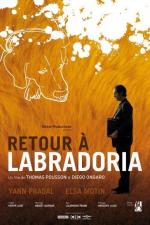 Return to Labradoria (S)