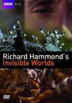 Richard Hammond's Invisible Worlds (TV Miniseries)