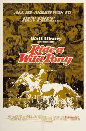 Ride a Wild Pony 