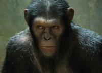 Rise of the Planet of the Apes  - Stills