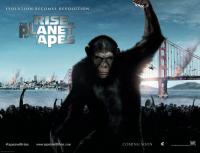 Rise of the Planet of the Apes  - Wallpapers