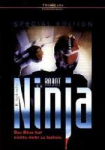Robot Ninja 