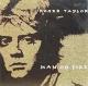 Roger Taylor: Man On Fire (Vídeo musical)