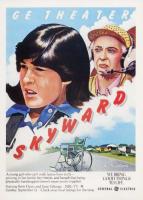 Skyward (TV) - Poster / Imagen Principal
