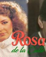 Rosa de la calle (TV Series)