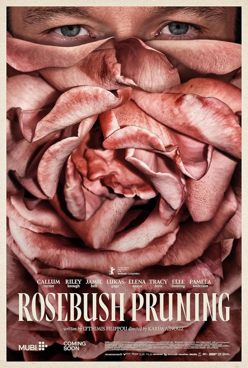 Rosebush Pruning 