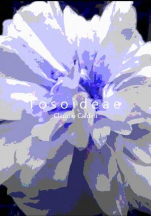 Rosoideae (C)