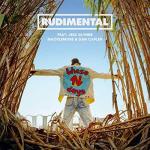 Rudimental feat Jess Glynne, Macklemore & Dan Caplen: These Days (Vídeo musical)