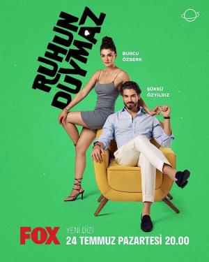 Tu espíritu no oye (Serie de TV)