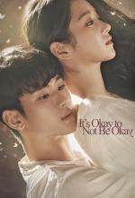 It's Okay to Not Be Okay (TV Series)