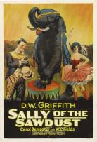 Sally, la hija del Circo  - Poster / Imagen Principal
