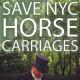 Save NYC Horse Carriages (S)
