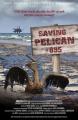 Saving Pelican 895 