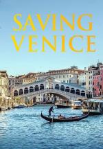 Cómo salvar Venecia 