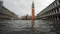 Cómo salvar Venecia  - Fotogramas