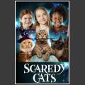 Scaredy Cats TV Review