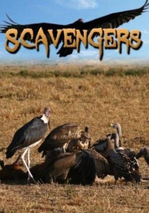 Scavengers of the Savannah (TV)