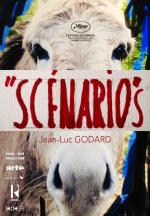 Scénarios (S)