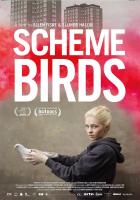 Scheme Birds  - Poster / Main Image