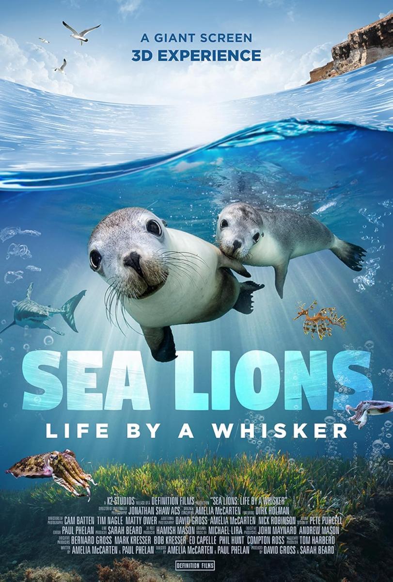 Sea Lions: Life by a Whisker (2020) - FilmAffinity