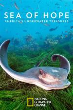 Sea of Hope: America's Underwater Treasures 
