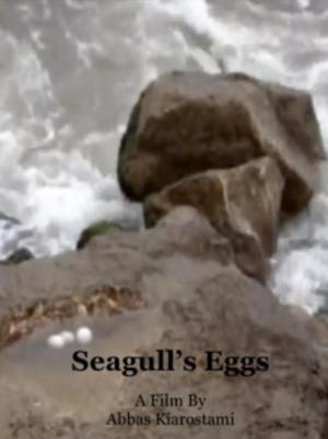 Seagull Eggs (S)