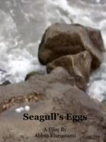 Seagull Eggs (C)