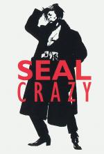 Seal: Crazy (Music Video)