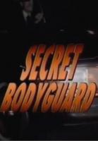 Guardaespaldas secreto (Serie de TV) - Poster / Imagen Principal