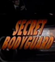 Guardaespaldas secreto (Serie de TV) - Posters