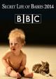La vida secreta de los bebés (TV)