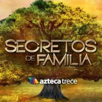Secretos de familia (Serie de TV) - Poster / Imagen Principal