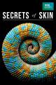 Los secretos de la piel (Miniserie de TV)