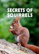 Secrets of Squirrels 
