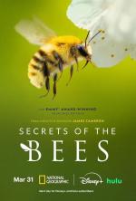 Los secretos de las abejas (Miniserie de TV)