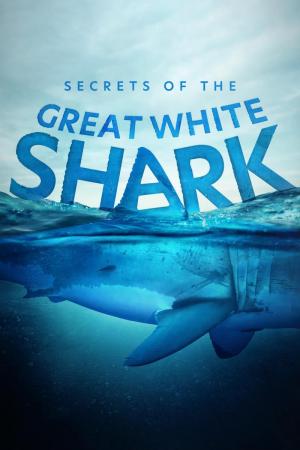Secrets of the Great White Shark 