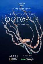 Secrets of the Octopus (TV Miniseries)