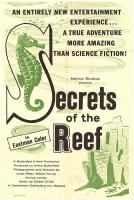 Secrets of the Reef  - Poster / Main Image