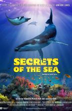 Secrets of the Sea 