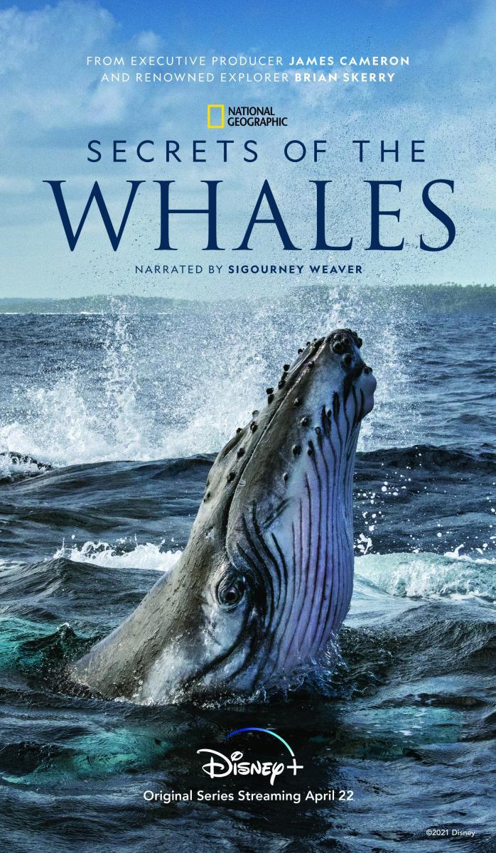 Secrets of the Whales (TV Miniseries) - Poster / Main Image