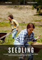 Seedling (C)