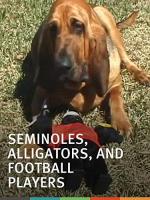 Seminoles, Alligators, and Football Players: A Florida Rivalry 