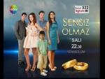 Sensiz Olmaz (TV Series)