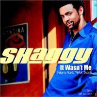 Shaggy: It Wasn't Me (Music Video) - Poster / Main Image