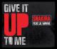 Shakira Feat. Lil Wayne: Give It Up to Me (Music Video)