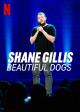 Shane Gillis: Beautiful Dogs (TV)