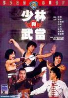 Los dos campeones del Shaolin  - Poster / Imagen Principal