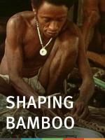Shaping Bamboo 