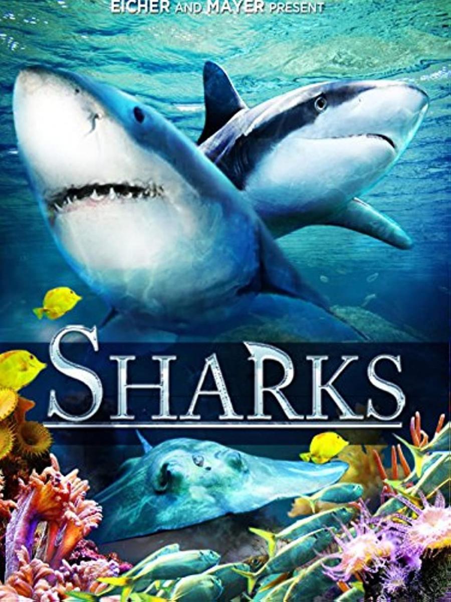 Sharks (in 3D) 