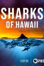 Sharks of Hawaii 